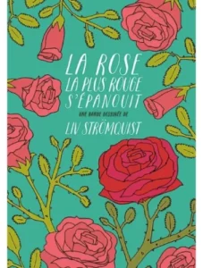 La rose rouge s’épanouit.